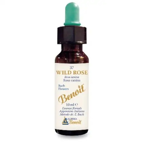 Alchimia Benoit Rose Sauvage Complément Alimentaire 10 ml
