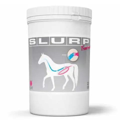 TRAITEMENT SLURP 800G