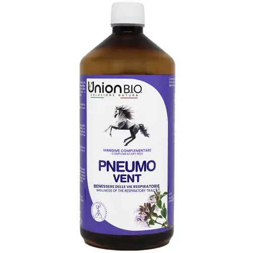 PNEUMO VENTILATION 1L