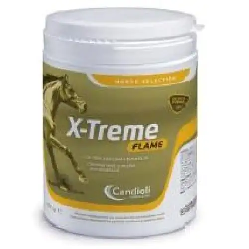 X-TREME FLAMME 450G
