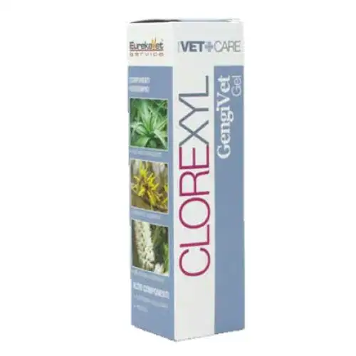 CLOREXYL GINGIVET 50ML