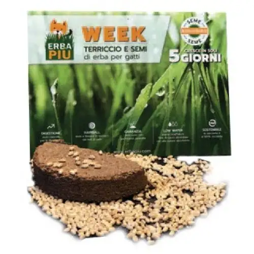 KIT SEMAINE GRASS PLUS SEMIS