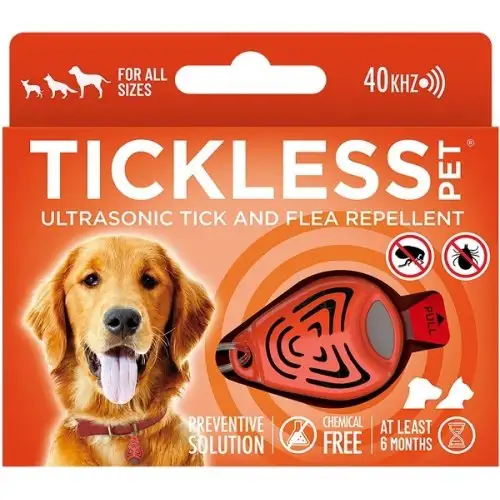 ORANGE POUR ANIMAUX DE COMPAGNIE SANS TACHES