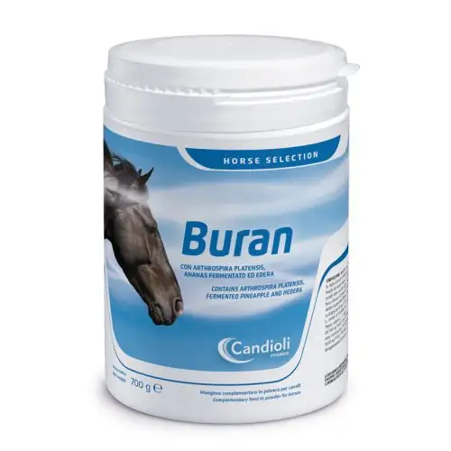 BOURANE 700G