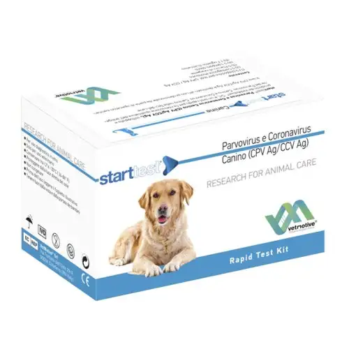DÉBUT TEST PARVOVIRUS CORON CAN