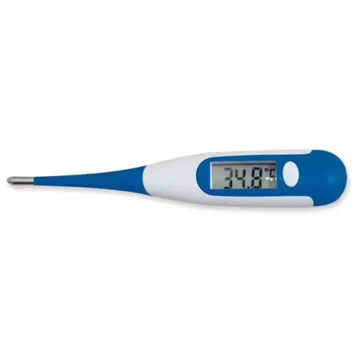 THERMOMÈTRE NUMÉRIQUE GÉANT