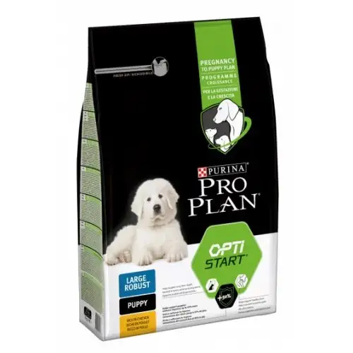 PP DD L PUP ROB SAIN 12KG