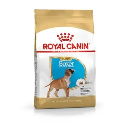 BHN BOXER CHIOT 12KG