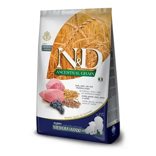 N&D LG DOG LAM&BLU PU M/MA12KG