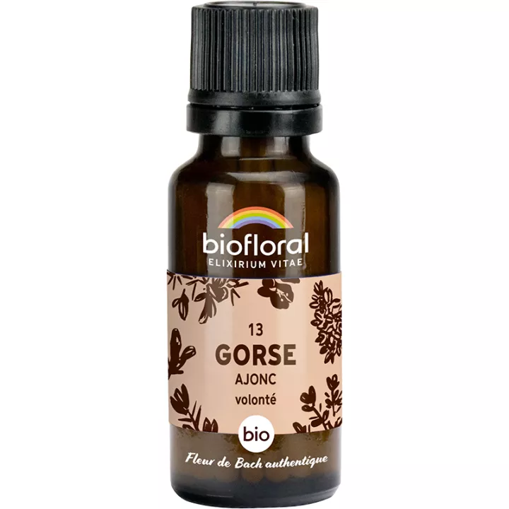 Biofloral Fleurs de Bach 13 Gorse Granules sans alcool