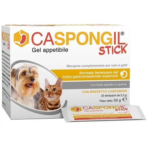 CASPONGIL 20 StickPack