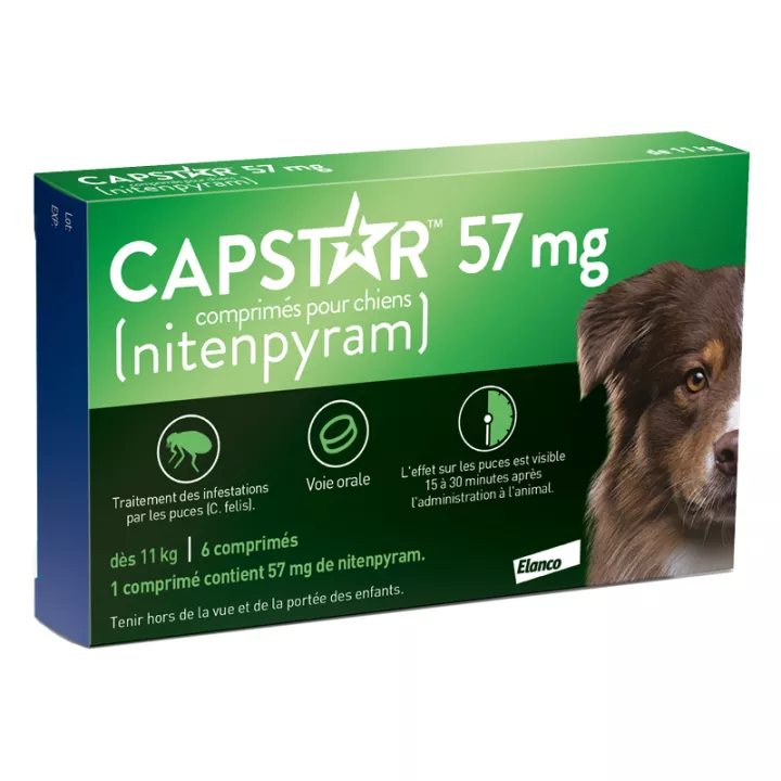 Elanco Capstar Grand Chien 57 mg 6 comprimés