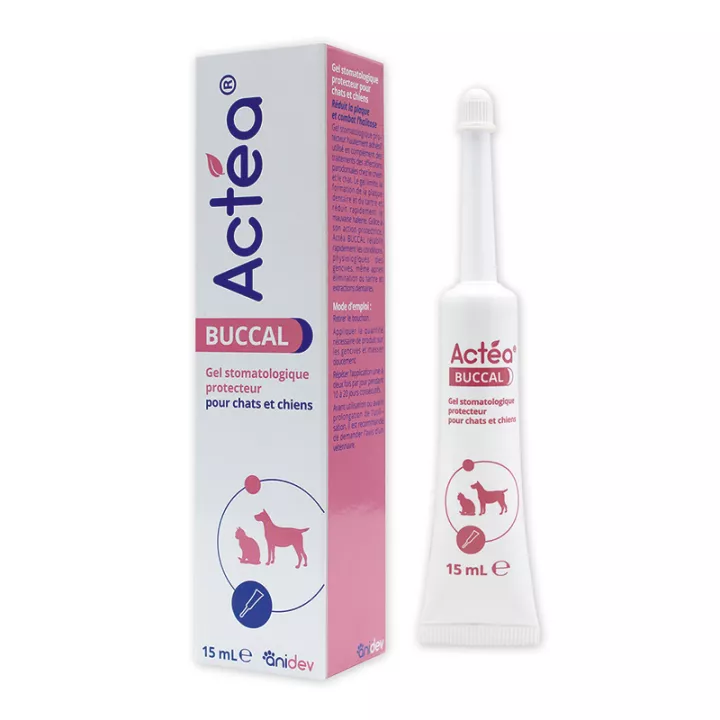 Actéa Buccal Gel - Renforcer les gencives du Chien, Chat 15 ml
