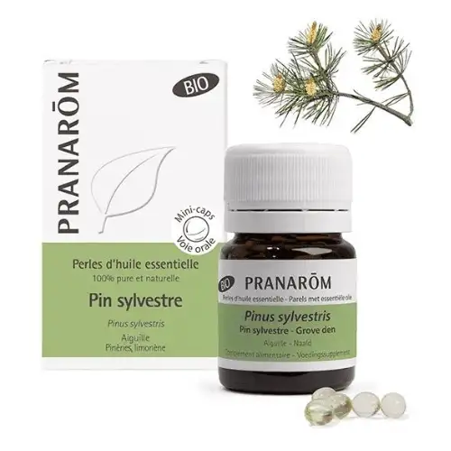 PIN SYLVESTRE - Pranarom Huile essentielle Bio - 60 Perles