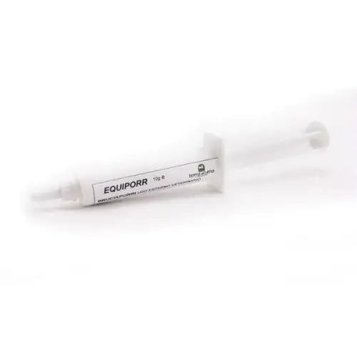ÉQUIPEMENT 10G