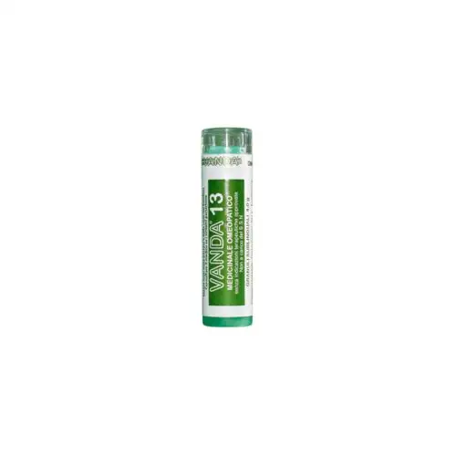 Vanda Homéopathie Vanda 13 Granules Remède Homéopathique 4g