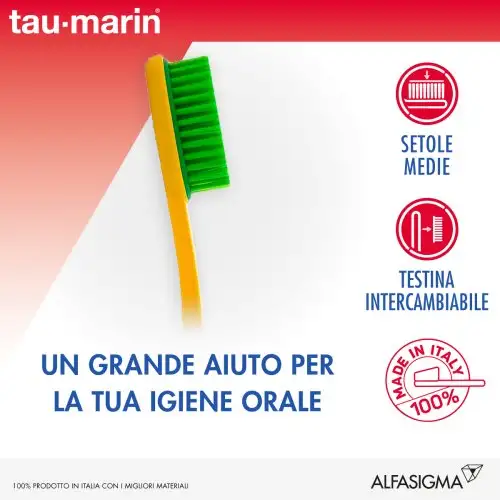 Magnum Poils Moyens Tau Marin Couleurs Assorties