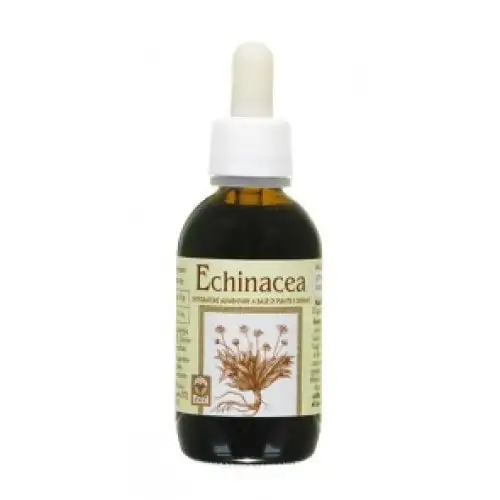 ECOL Echinacée Extrait Sans Alcool 50 ml