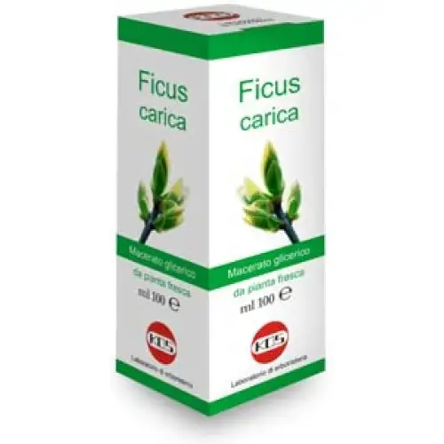 Kos Ficus Upload Gouttes Mg Complément Alimentaire 100 ml