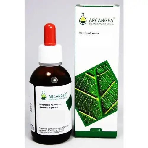 Arcangea Linfa Bouleau Complément Alimentaire 100 ml