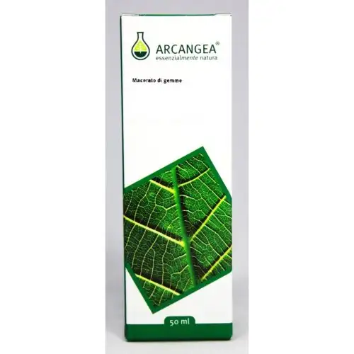 Arcangea Castanea Vesca Gemmoderivati Remède Homéopathique 100ml
