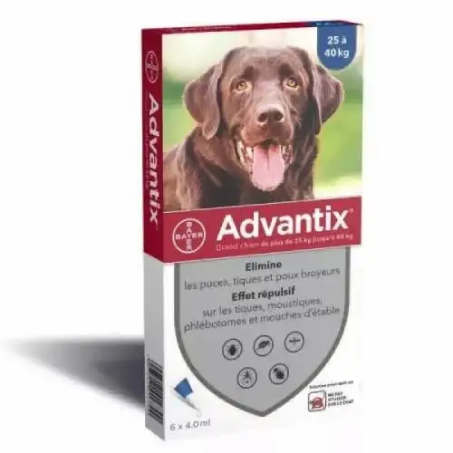 ADVANTIX Grand Chien 25 à 40 kg (6 pipettes)