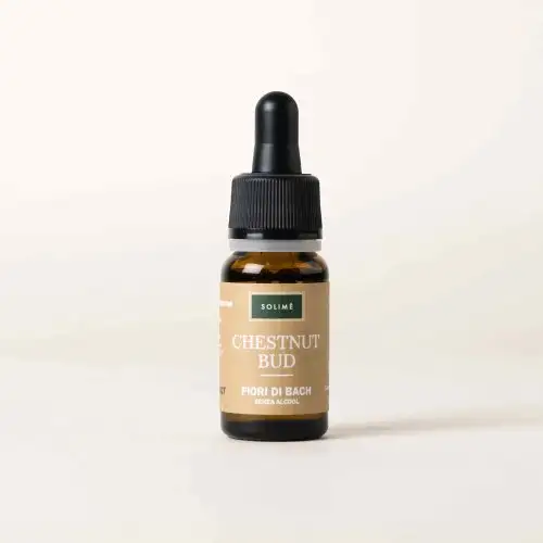CHESTNUT BUD 10ML