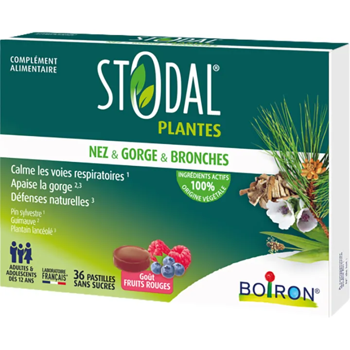 Stodal Plantes Pastilles Nez & Gorge & Bronches x36