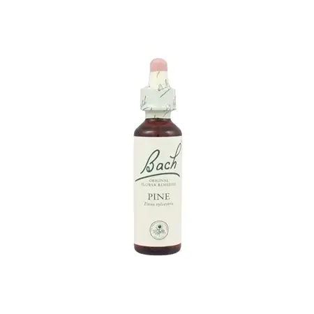 Fleur de Bach Pine n°24 - 20 ml