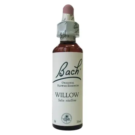 Fleur de Bach Willow n°38 - 20 ml