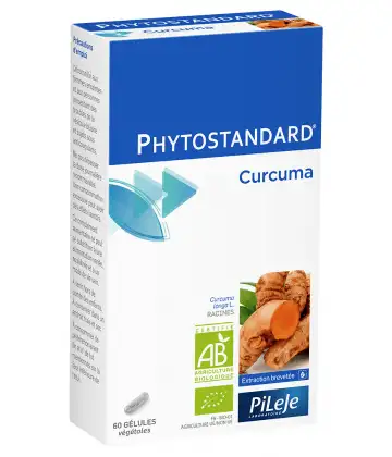 Phytostandard Curcuma bio format éco 60 gélules