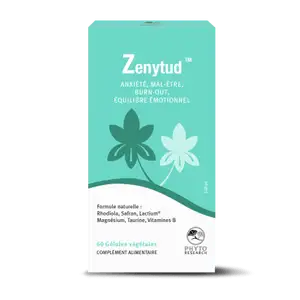 PhytoResearch Zénytud 60 Gélules Végétales