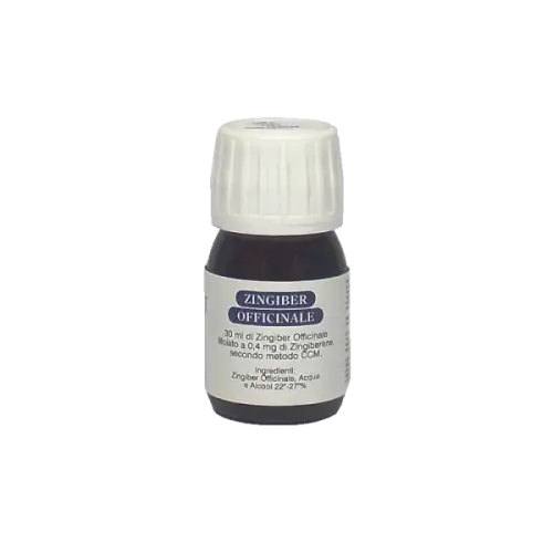 Efit Zingiber Officinale Extrait Fluide 30 ml